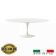 Tulip tafel laminaat ovale cm 160x85 + 6 stoelen DSW